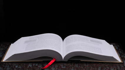 十大最好养的室内植物