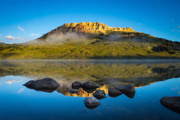怎样制作生物标本