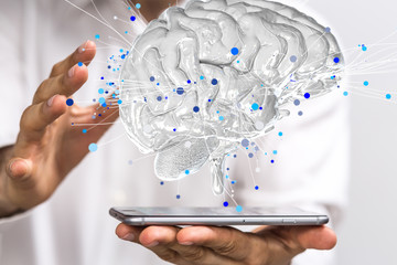 中国的国蝶是什么-