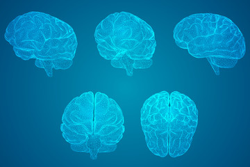 冷库可以做什么生意？