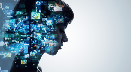 中国的国蝶是什么-