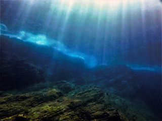 冷库可以做什么生意？