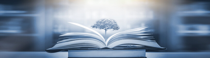 关于国家富强而奋斗杰出人物故事的手抄报 童话故事的手抄报