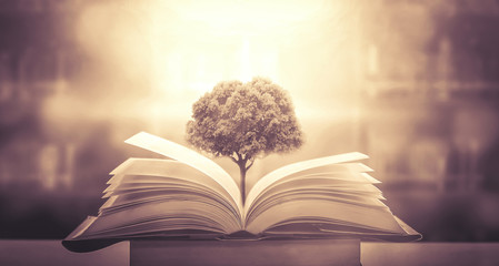 上个星期六天气很好用英语怎么说