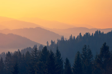 高一语文考试时阅读题答题步骤