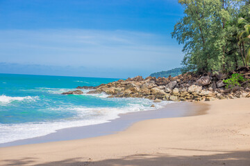 冷库可以做什么生意？