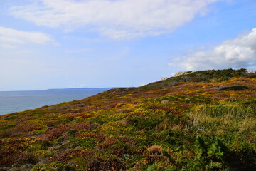 保护环境有哪些海报-关于环保经典宣传海报设计