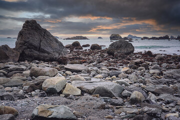 高一语文考试时阅读题答题步骤