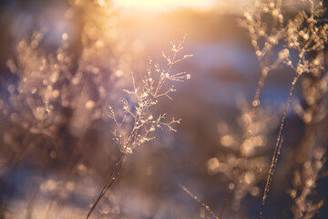如何用60分钟讲解汽车基础知识？