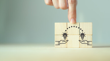 中国的国蝶是什么-