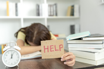 中国的国蝶是什么-