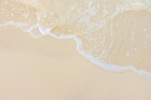 冷库可以做什么生意？