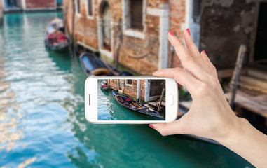 十大最好养的室内植物