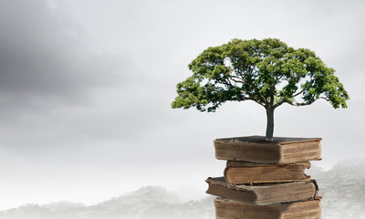 中国的国蝶是什么-