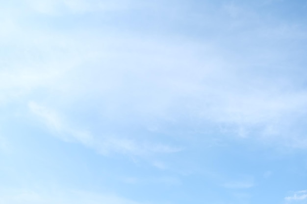 今天你能让我认识一种植物吗？