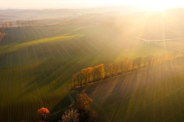 反省自己错误的文言文